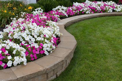 Retaining Walls Thumbnail
