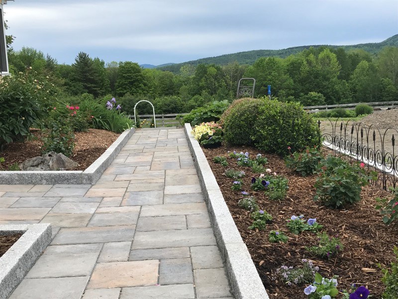 a stone walkway with flowers and plants