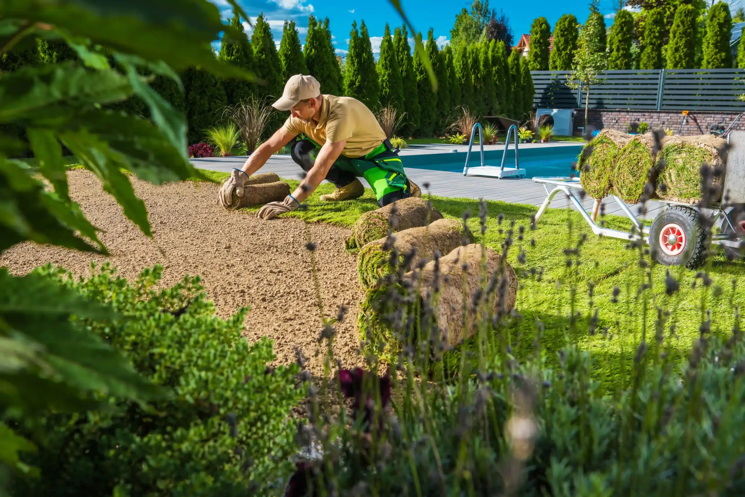 landscape design services