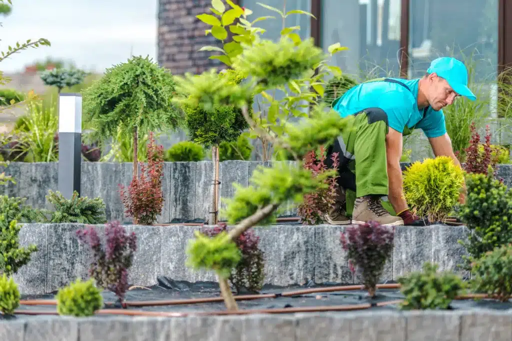 Professional Landscaping Company